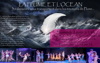 Le spectacle La Plume et l'océan